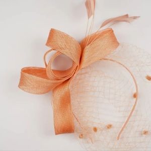 Elegant Coral Lace Veil Dotted Fascinator Feathers Ribbon Headband Tea …